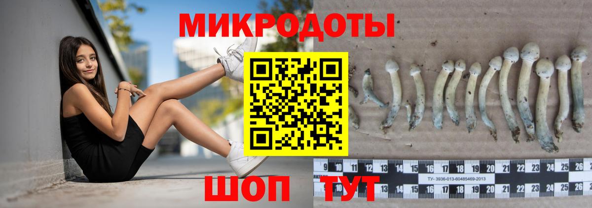 Галлюциногенные грибы мицелий  наркота  Тамбов  Вход с VPN 